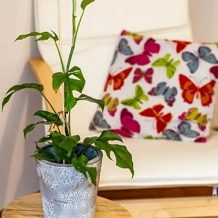 Domcek Pod Kalvariou *